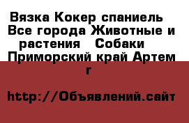 Вязка Кокер спаниель - Все города Животные и растения » Собаки   . Приморский край,Артем г.